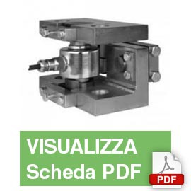 55-01-11 Modulo di Pesatura